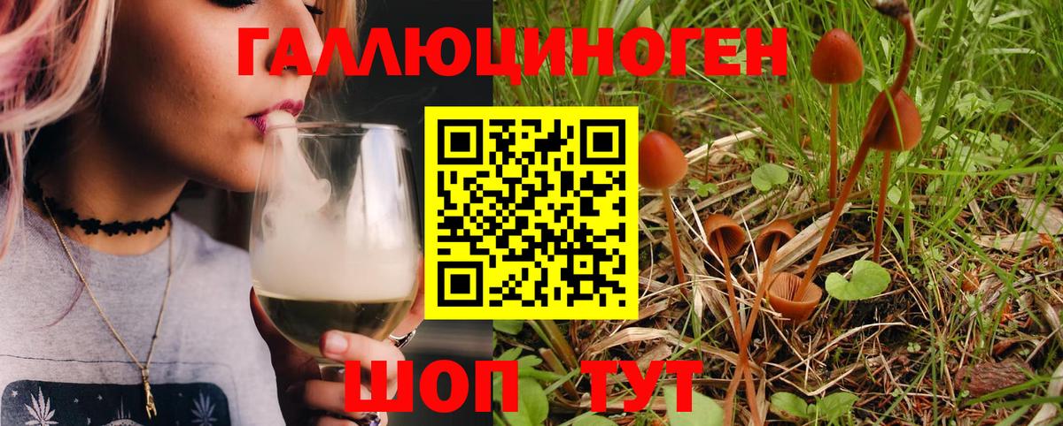 Галлюциногенные грибы Psilocybe  Вход с VPN  Усолье-Сибирское 