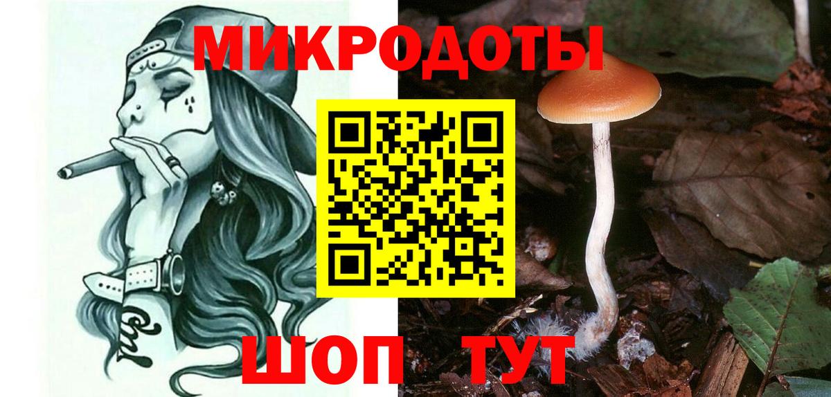 Псилоцибиновые грибы Psilocybe Усолье-Сибирское